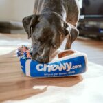 Automatic Pet Feeder - Smart WiFi Food Dispenser
